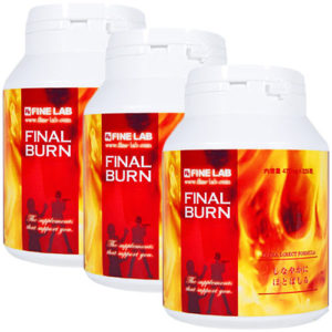 Fine Lab Final Burn