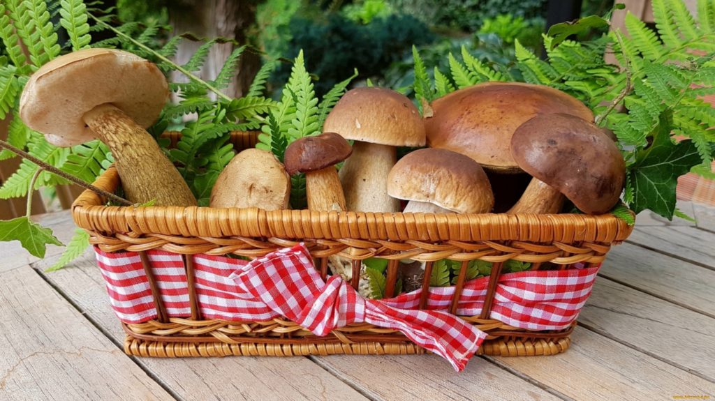 можно ли есть на диете грибы