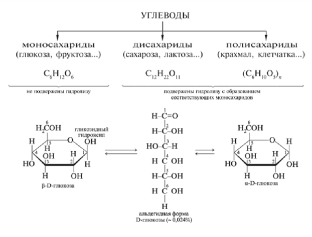 Химические свойства моносахаридов формулы. Моносахариды дисахариды химические свойства углеводов. Общая формула углеводов моносахаридов. Углеводы моносахариды формулы. Запиши формулу глюкозы