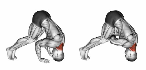 Как накачать мышцы шеи