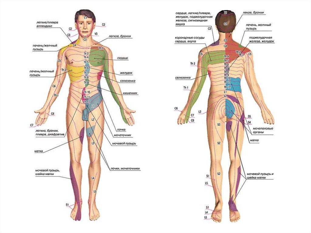 Китайский точечный массаж активные акупунктурные точки на теле человека