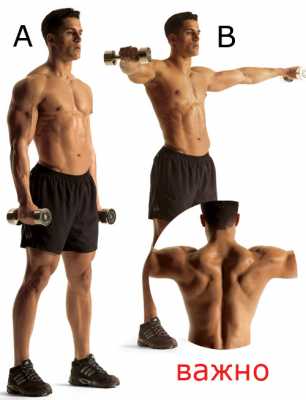 Как сделать массивные мускулистые плечи (упражнения)